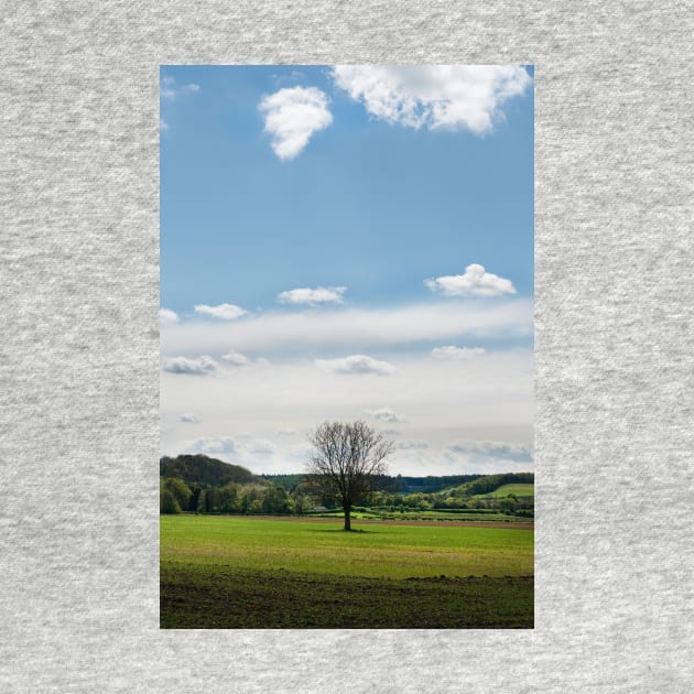 A lone tree in a field - Yorkshire, UK by richflintphoto